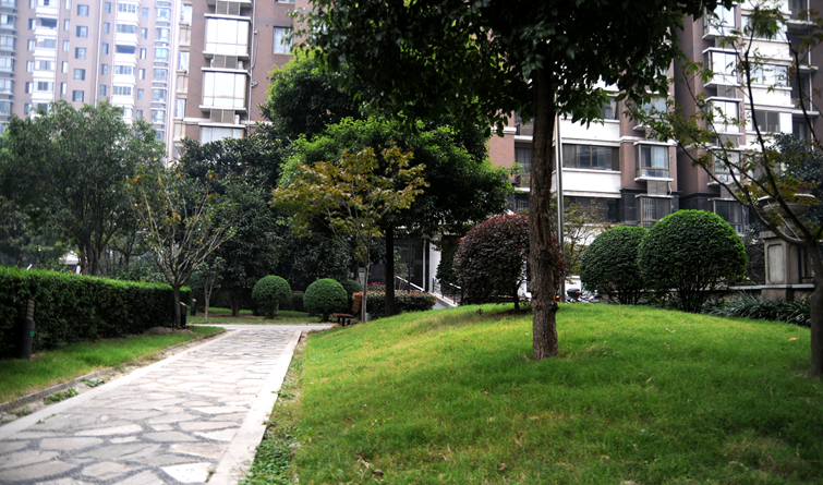 改造后,華亭陽光綠洲小區綠草如茵