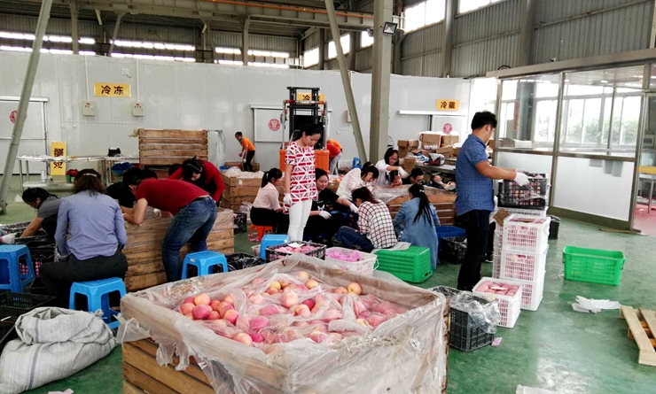 員工在生鮮冷鏈分揀中心一線“練兵”