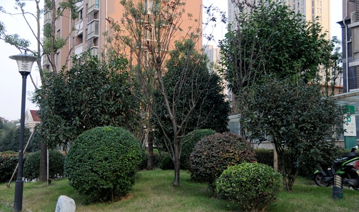 華亭陽光綠洲小區 華亭陽光綠洲小區